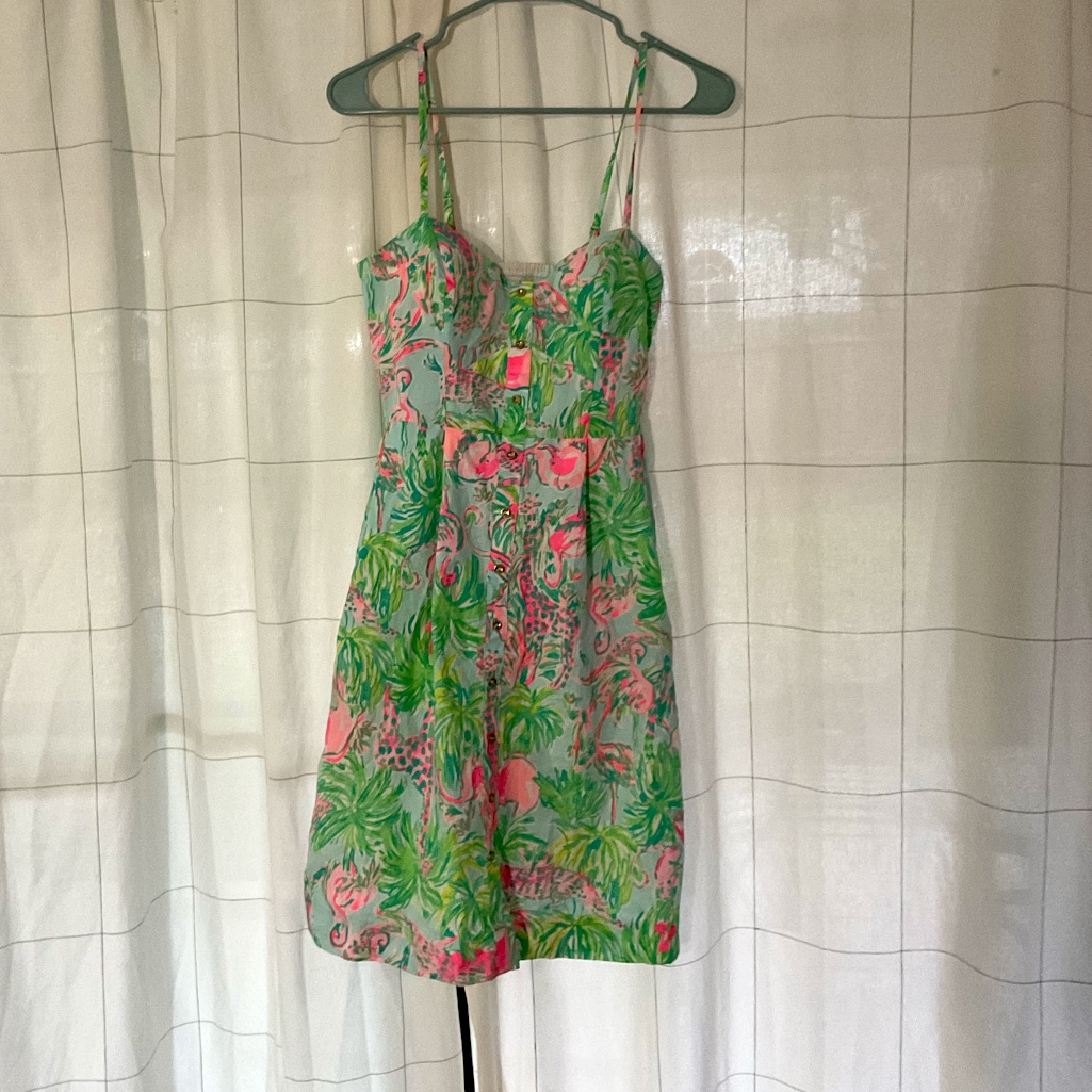 Lilly Pulitzer Green And Pink Dress